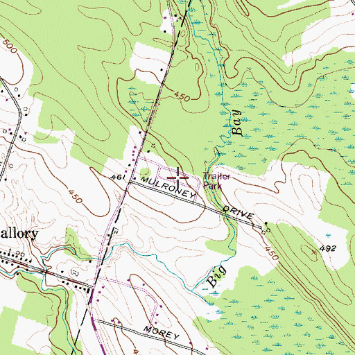 Topographic Map of Deer Run Trailer Park, NY