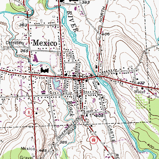 Topographic Map of Mexico Public Library, NY