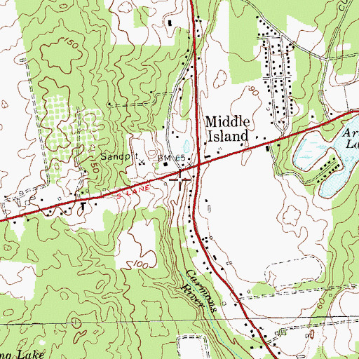 Topographic Map of Longwood Public Library, NY
