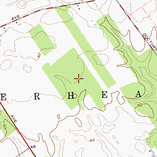 Topographic Map of The Woods at Cherry Creek, NY