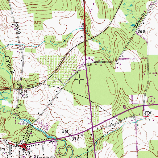 Topographic Map of Meadowbrook Manor Assisted Living Facility, NY