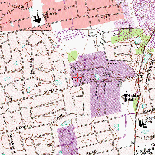 Topographic Map of Birchwood Rest Home, NY