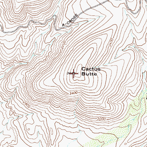 Topographic Map of Cactus Butte, AZ