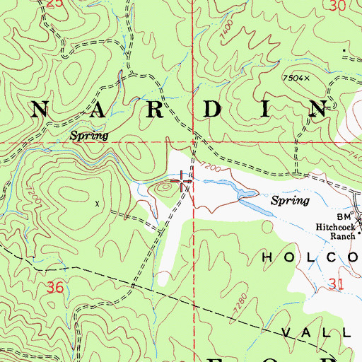 Topographic Map of Holcomb Valley, CA