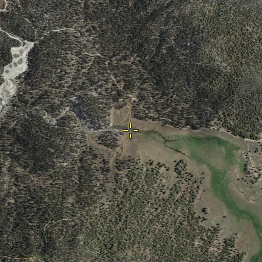 Aerial/Satellite Image of Holcomb Valley, CA
