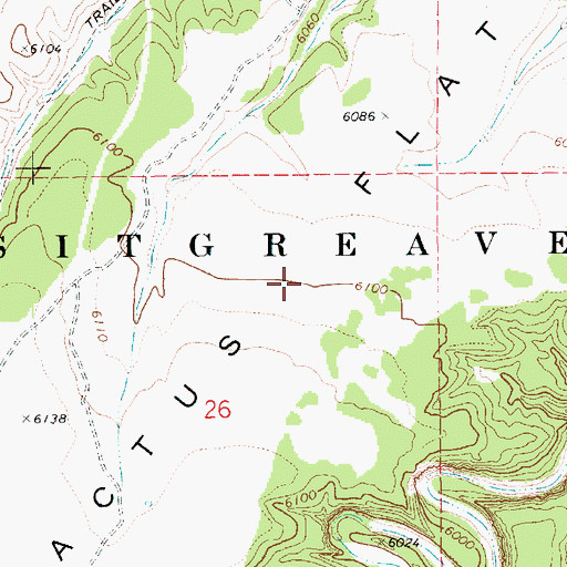 Topographic Map of Cactus Flat, AZ