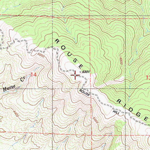 Topographic Map of Rouse Ridge, CA