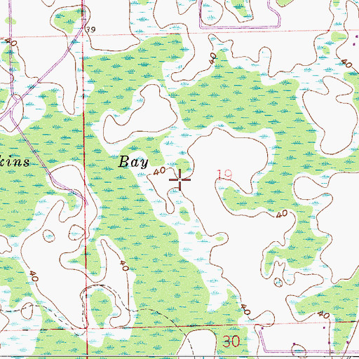 Topographic Map of Coe Field, FL