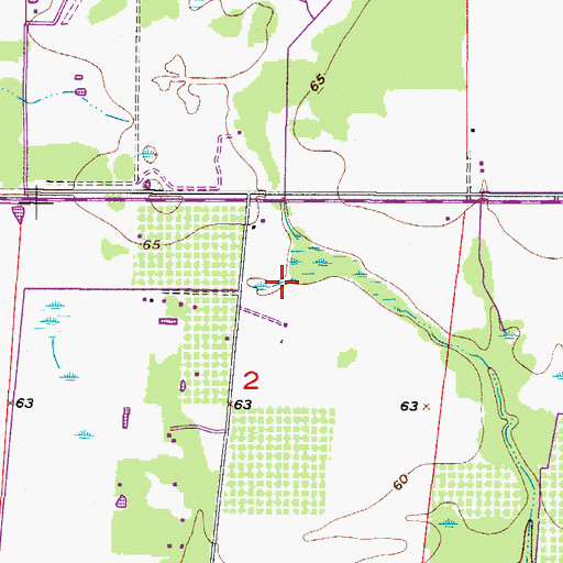 Topographic Map of Ellsworth Field Airport (historical), FL