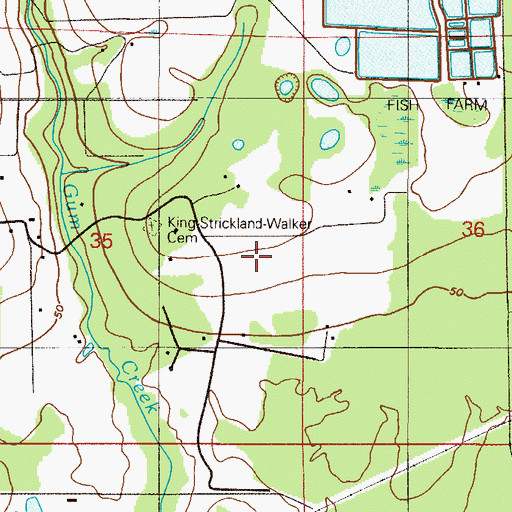 Topographic Map of Oak Ridge Airport, FL