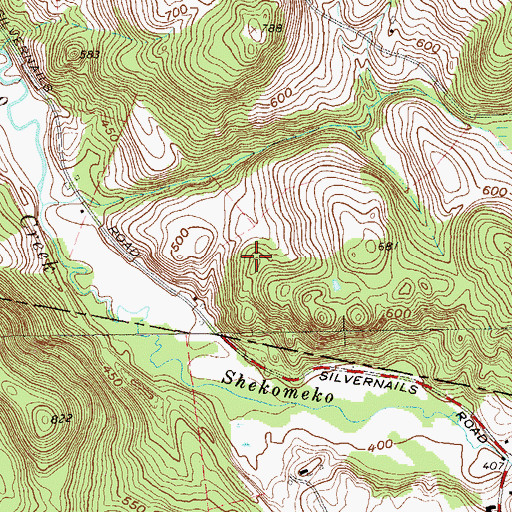 Topographic Map of Silvernails Field, NY