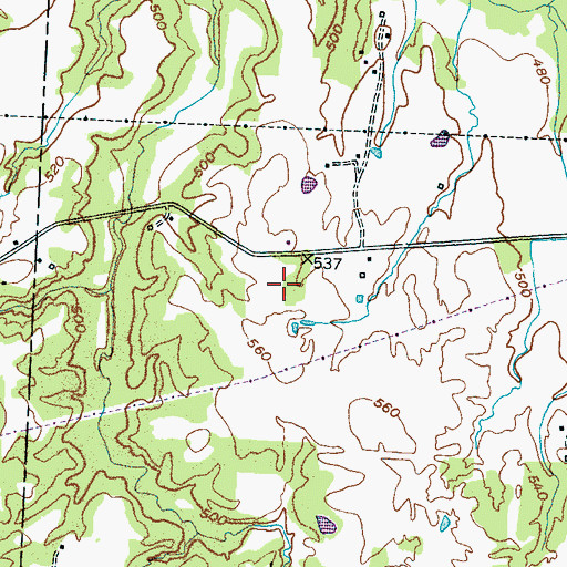 Topographic Map of Flying D Airport, TN