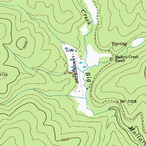 Topographic Map of Mallard Creek Ranch Airport, ID