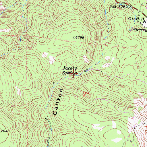 Topographic Map of Jacoby Spring, CA