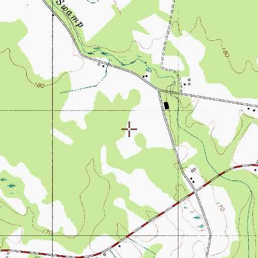 Topographic Map of Dry Swamp Airport, SC