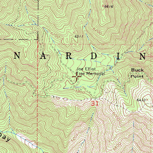 Topographic Map of Joe Elliot Tree Memorial, CA