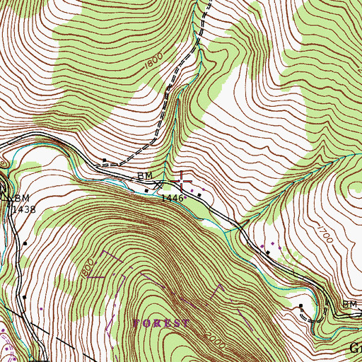 Topographic Map of Arena Fire Department, NY
