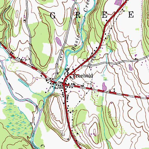 Topographic Map of Freehold Volunteer Fire Company, NY