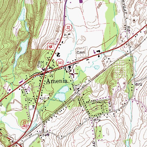 Topographic Map of Amenia Fire Company, NY