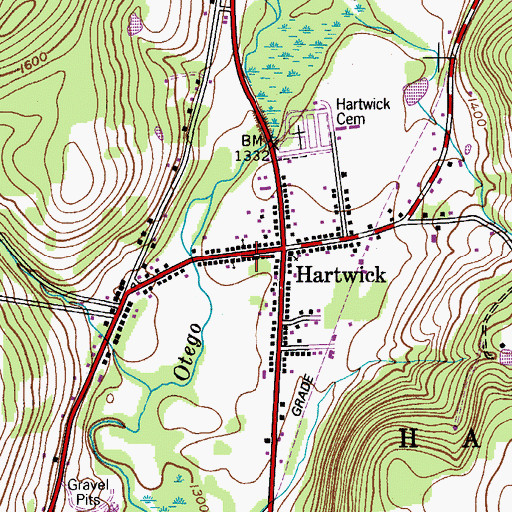 Topographic Map of Hartwick Fire Department Company 1, NY