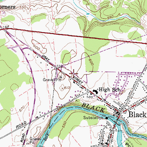 Topographic Map of Black River Fire Department, NY