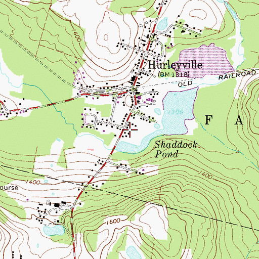 Topographic Map of Hurleyville Fire Department, NY