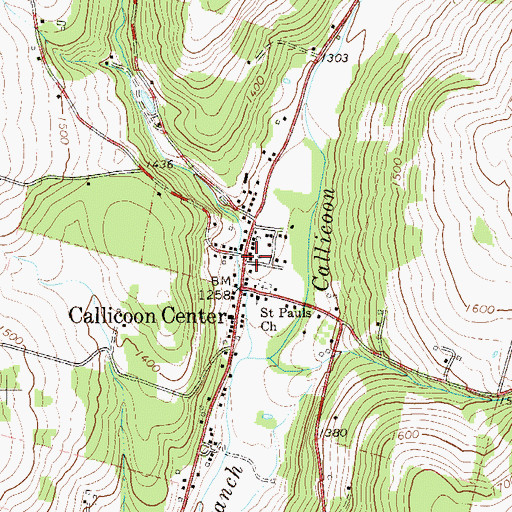 Topographic Map of Callicoon Center Fire Department, NY
