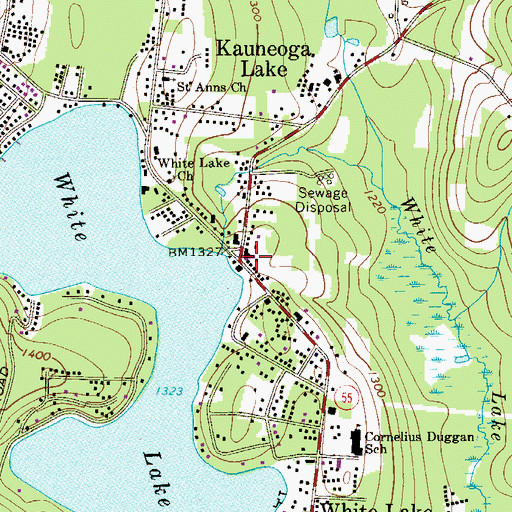 Topographic Map of Kauneonga Lake Fire Department, NY
