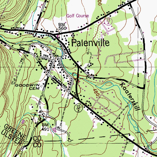 Topographic Map of Palenville Fire District, NY