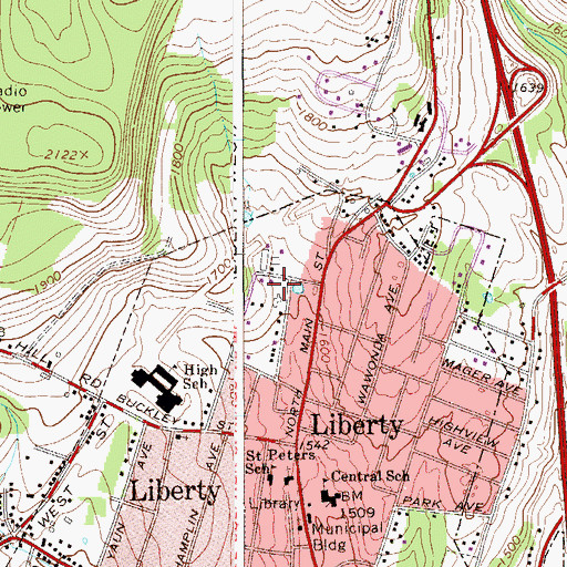 Topographic Map of Liberty Joint Fire District, NY