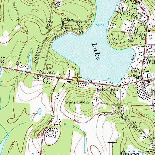 Topographic Map of White Lake Fire Company, NY