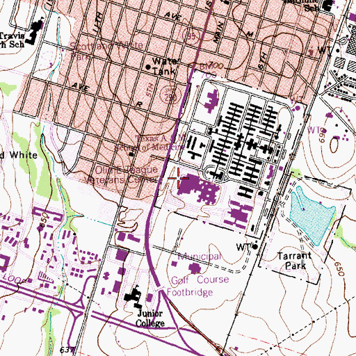 Topographic Map of Olin E Teague Veterans Affairs Medical Center, TX