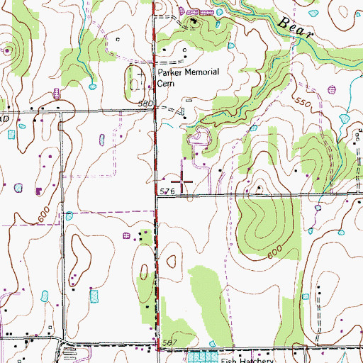 Topographic Map of Ethicus Hospital Grapevine, TX