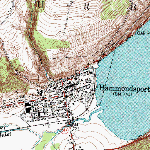 Topographic Map of Hammondsport Volunteer Ambulance Corps, NY