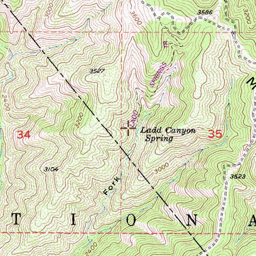 Topographic Map of Ladd Canyon Spring, CA