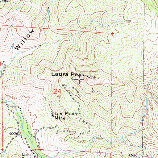 Topographic Map of Laura Peak, CA
