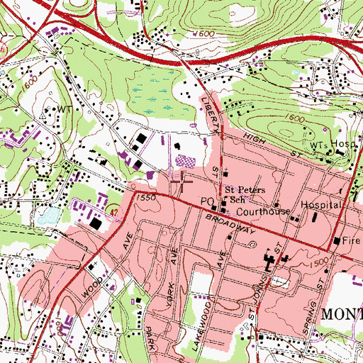 Topographic Map of Mobile Medic, NY