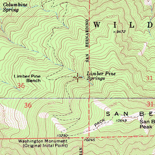 Topographic Map of Limber Pine Springs, CA