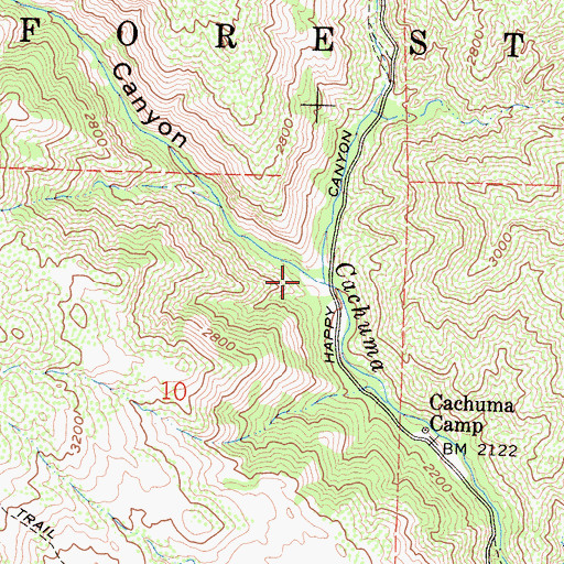 Topographic Map of Lion Canyon, CA