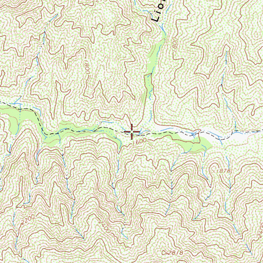 Topographic Map of Lion Canyon, CA
