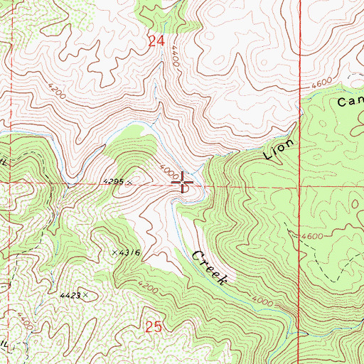 Topographic Map of Lion Canyon, CA