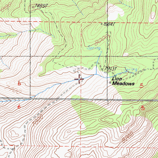 Topographic Map of Lion Meadows, CA