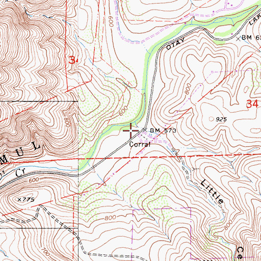 Topographic Map of Little Cedar Canyon, CA