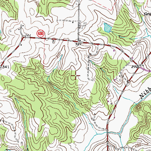 Topographic Map of Amelia Ambulance Service, VA