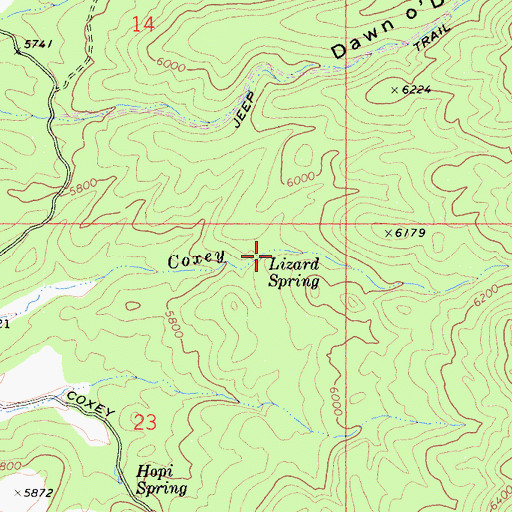 Topographic Map of Lizard Spring, CA