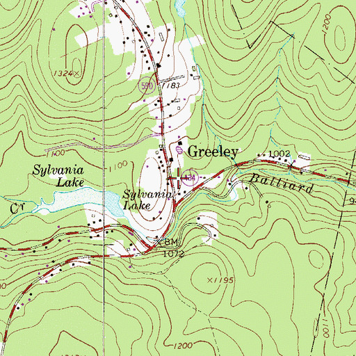 Topographic Map of Lackawaxen Township Volunteer Ambulance Service Greeley Station, PA