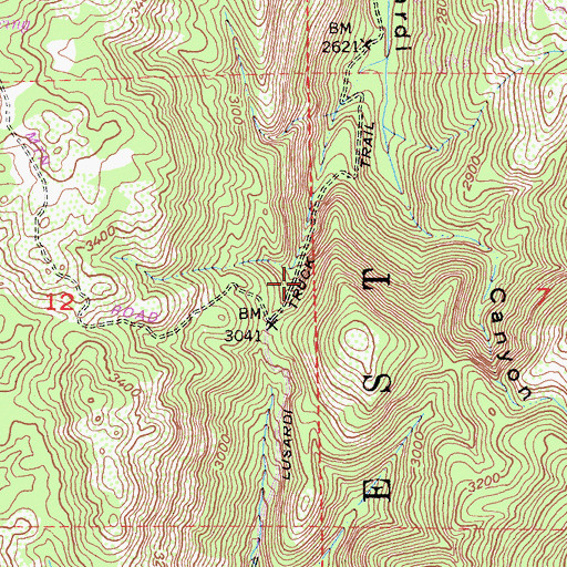 Topographic Map of Lusardi Truck Trail, CA