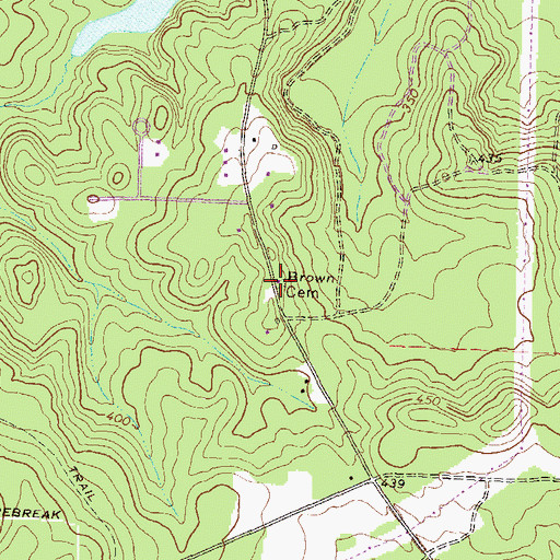 Topographic Map of Brown-Hallman Family Cemetery, GA