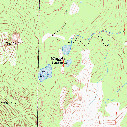 Topographic Map of Maggie Lakes, CA