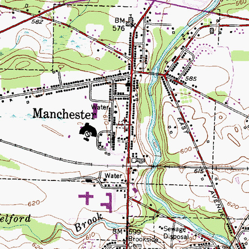 Topographic Map of Manchester Village Cemetery, NY